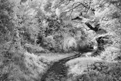 Battlefield-Walk-20-19092025