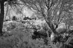 Ch-Vill-Walk-52-21092025
