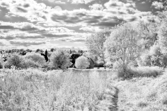 Cheriton-Village-Walk-12-05082025