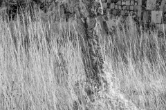 Cheriton-Village-Walk-24-05082025