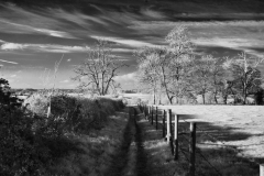 Cheriton-Walk-16-24122025