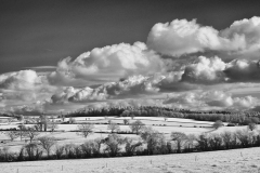 Cheriton-Walk-23-15032026