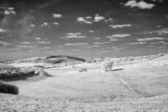 Chidden-Down-01-22082025