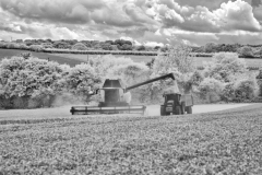 D7000-IR-2-70-22072025-1