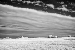 HA-Walk-02-25072025-1-scaled