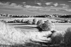 Vineyard-Walk-05-11082025