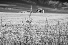 Vineyard-Walk-29-11082025