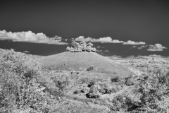 Colmers-Hill-02-30092025