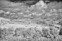 Colmers-Hill-09-01102025-IR
