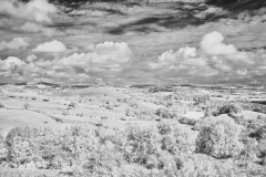 Colmers-Hill-22-01102025-IR