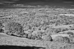 Eggardon-Hill-21-30092025-IR