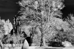 HA-House-Walk-23-10012026