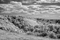 Old-Winchester-Hill-04-22082025