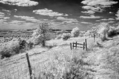 Old-Winchester-Hill-06-22082025