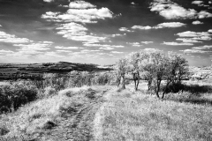 Old-Winchester-Hill-37-22082025