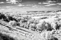 Old-Winchester-Hill-57-22082025