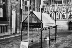 WinCathBits-23-25022026